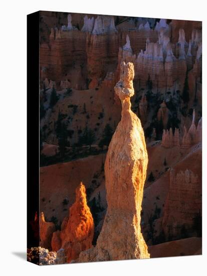 Hoodoos in Bryce Canyon National Park-Joseph Sohm-Premier Image Canvas