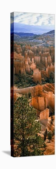 Hoodoos of Bryce Canyon in Bryce Canyon National Park, Utah, Usa-null-Premier Image Canvas