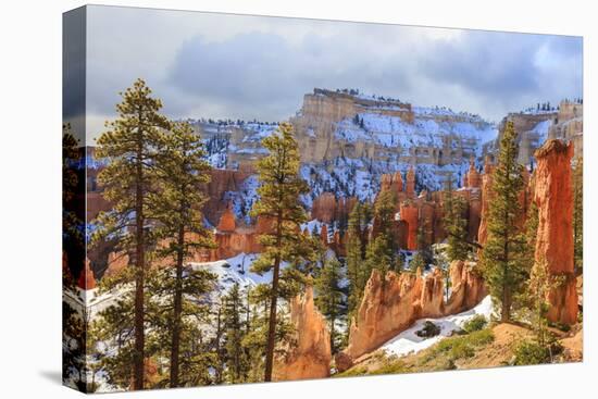 Hoodoos Strongly Lit by Early Morning Sun with Heavy Cloud-Eleanor Scriven-Premier Image Canvas