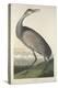 Hooping Crane, 1835-John James Audubon-Premier Image Canvas