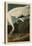 Hooping Crane-John James Audubon-Stretched Canvas