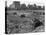 Hooverville in Central Park 1933-null-Premier Image Canvas