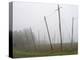 Hop Garden in the Hallertau, Autumn, Fog-Harald Kroiss-Premier Image Canvas