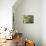 Hop Plant with Buds (Humulus Lupos)-Martina Schindler-Premier Image Canvas displayed on a wall