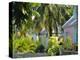 Hope Town, 200 Year Old Settlement on Elbow Cay, Abaco Islands, Bahamas, Caribbean, West Indies-Nedra Westwater-Premier Image Canvas