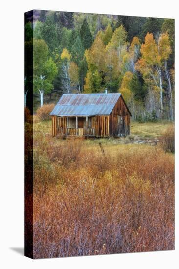 Hope Valley Cabin Scene-Vincent James-Premier Image Canvas