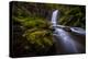 hopetoun-falls-1-Lincoln Harrison-Stretched Canvas