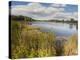 Hopkins Lake, Owosso, MI ‘10-Monte Nagler-Premier Image Canvas