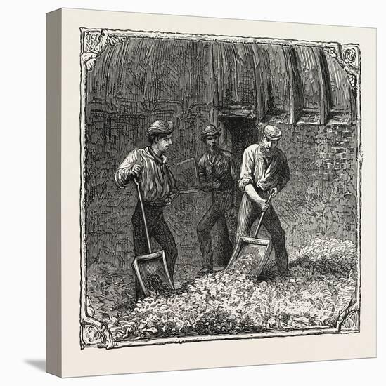 Hops and Hop Pickers, in a Kentish Hop Garden, Kent, England, Turning Hops in the Kiln, 1876, Uk-null-Premier Image Canvas