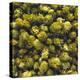 Hops (Filling the Picture)-Herbert Lehmann-Premier Image Canvas