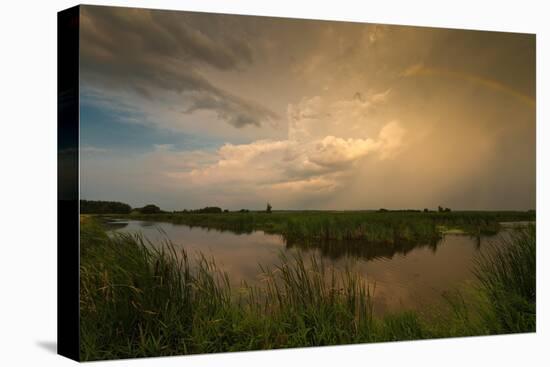 Horicon Marsh Storm-Steve Gadomski-Premier Image Canvas