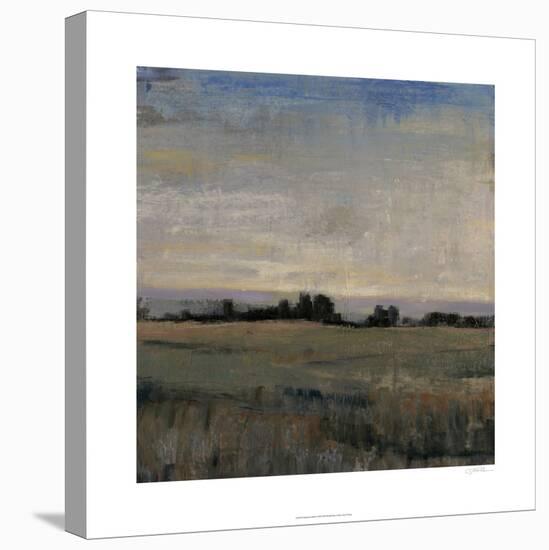 Horizon at Dusk I-Tim O'toole-Stretched Canvas