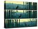 Horizontal Banners of Wild Animals in Hills Wood.-Vertyr-Stretched Canvas