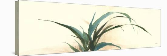 Horizontal Grass I-Chris Paschke-Stretched Canvas
