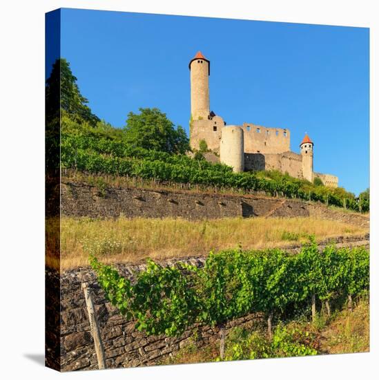 Hornberg Castle, Neckarzimmern, Neckartal Valley, Odenwald, Burgenstrasse, Baden-Wurttemberg-Markus Lange-Premier Image Canvas