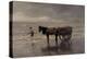 Horse and Cart-Anton Mauve-Premier Image Canvas