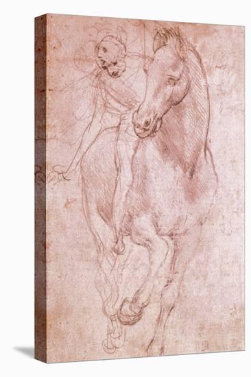 Horse and Rider-Leonardo da Vinci-Premier Image Canvas