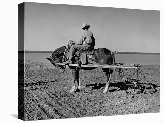 Horse Assisting the Farmer in Plowing the Field-Carl Mydans-Premier Image Canvas