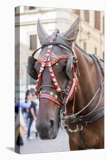 Horse Carriage. Rome. Italy.-Tom Norring-Premier Image Canvas