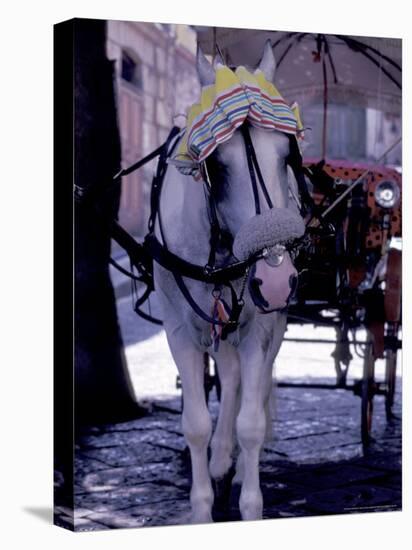 Horse Carriage, Sorrento, Italy-Dave Bartruff-Premier Image Canvas