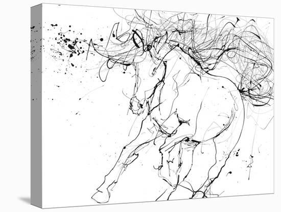 Horse Contour 2-Stefano Altamura-Premier Image Canvas