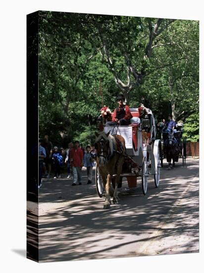 Horse Drawn Carriage in Central Park, Manhattan, New York, New York State, USA-Yadid Levy-Premier Image Canvas