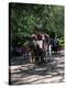 Horse Drawn Carriage in Central Park, Manhattan, New York, New York State, USA-Yadid Levy-Premier Image Canvas
