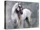 Horse Exposures II-Susan Friedman-Stretched Canvas