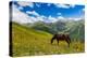 Horse grazing with Khaldechala River Valley and Caucasian mountains in background-Jan Miracky-Premier Image Canvas