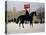 Horse Guards Parade-Vincent Haddelsey-Premier Image Canvas