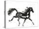 Horse H4-Chris Paschke-Premier Image Canvas