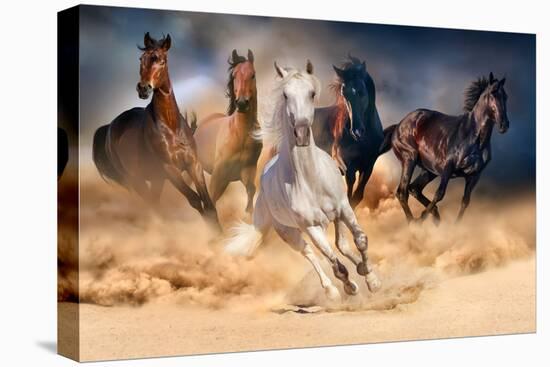 Horse Herd Run in Desert Sand Storm against Dramatic Sky-Callipso-Premier Image Canvas