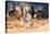 Horse Herd Run in Desert Sand Storm against Dramatic Sky-Callipso-Premier Image Canvas