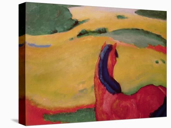 Horse in a Landscape, 1910-Franz Marc-Premier Image Canvas