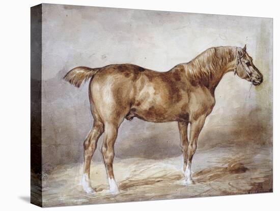 Horse in a Stable-Théodore Géricault-Premier Image Canvas