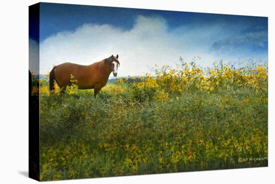 Horse in Flowers I-Chris Vest-Premier Image Canvas