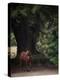 Horse in the Trees II-Susan Friedman-Premier Image Canvas