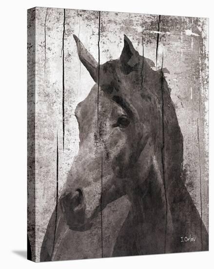 Horse Lemuse-null-Stretched Canvas