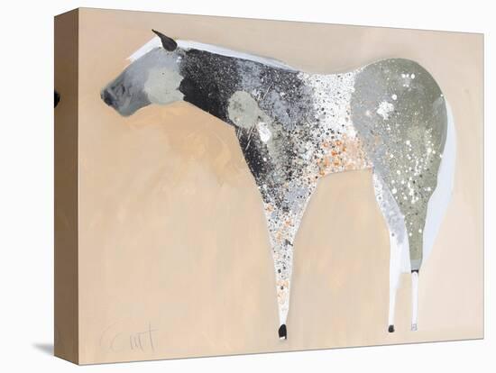 Horse No. 25-Anthony Grant-Stretched Canvas