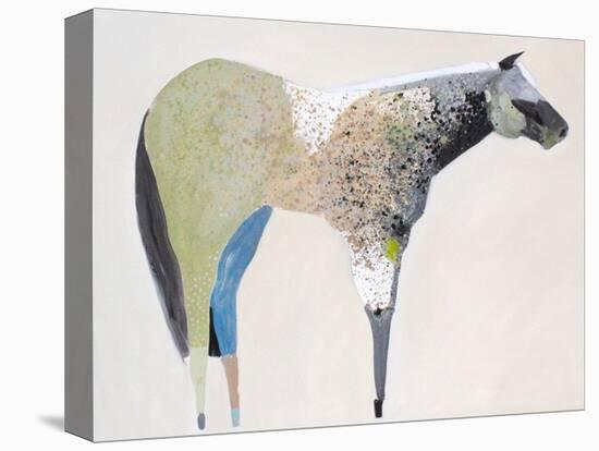 Horse No. 33-Anthony Grant-Stretched Canvas