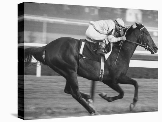 Horse of the Year, Kelso, Racing-George Silk-Premier Image Canvas