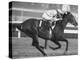 Horse of the Year, Kelso, Racing-George Silk-Premier Image Canvas