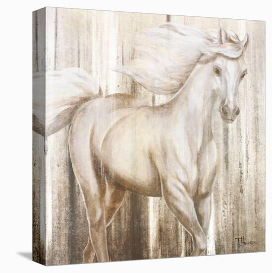 Horse on Grass Abstract-Tiffany Hakimipour-Stretched Canvas