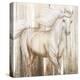 Horse on Grass Abstract-Tiffany Hakimipour-Stretched Canvas