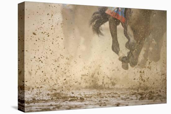 Horse racing in the mud-Maresa Pryor-Premier Image Canvas