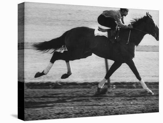 Horse Ridan During Race-null-Premier Image Canvas