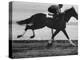 Horse Ridan During Race-null-Premier Image Canvas