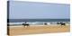 Horse rider's galloping down sandy Cornish beach on a summer's day, Sandymouth, Cornwall, England. -Adam Burton-Premier Image Canvas