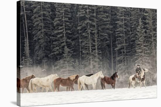 Horse roundup in winter, Kalispell, Montana.-Adam Jones-Premier Image Canvas