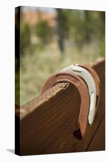 Horse Shoes-Karyn Millet-Premier Image Canvas